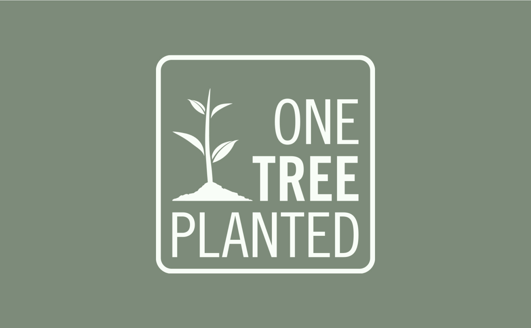 Environmental Stewardship