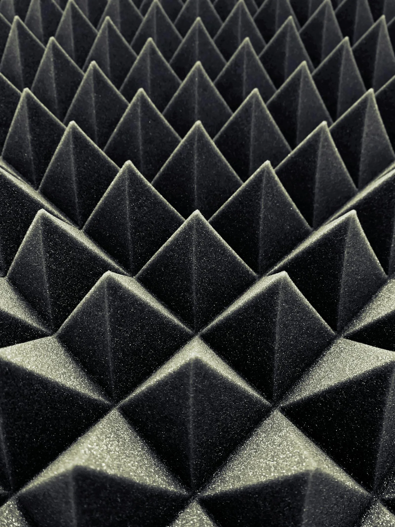 Acoustic Treatment
